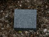 image of grave number 910457